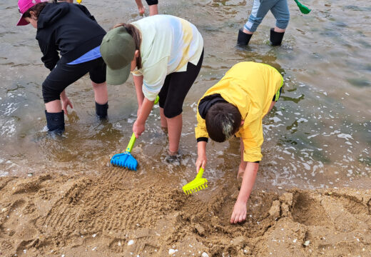 Alumnado do CEIP O Grupo coñece na praia dos Areos o proceso extractivo dos bivalvos